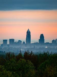 Preview wallpaper city, buildings, fog, panorama, architecture, view, trees