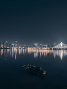 Preview wallpaper city, buildings, lake, lights, reflection, night, dark