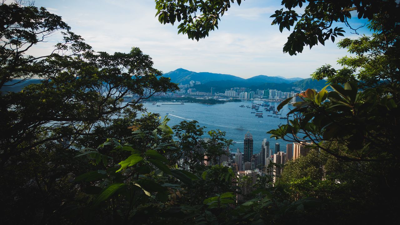 Wallpaper city, buildings, mountains, water, branches
