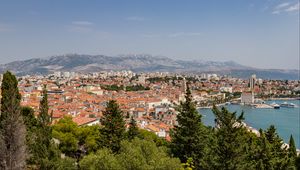 Preview wallpaper city, buildings, roofs, aerial view, architecture, trees