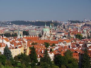 Preview wallpaper city, buildings, roofs, architecture, trees, aerial view