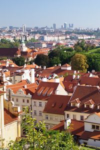 Preview wallpaper city, buildings, roofs, architecture, aerial view, trees