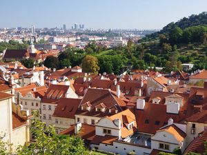 Preview wallpaper city, buildings, roofs, architecture, aerial view, trees