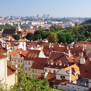 Preview wallpaper city, buildings, roofs, architecture, aerial view, trees