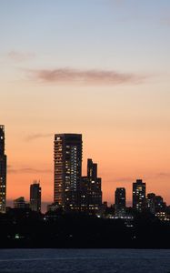Preview wallpaper city, buildings, skyscrapers, water, evening