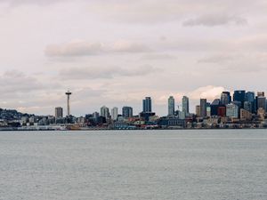 Preview wallpaper city, buildings, tower, water