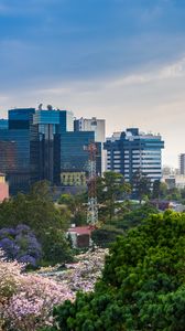 Preview wallpaper city, buildings, tower, trees, aerial view