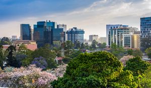 Preview wallpaper city, buildings, tower, trees, aerial view