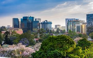 Preview wallpaper city, buildings, tower, trees, aerial view