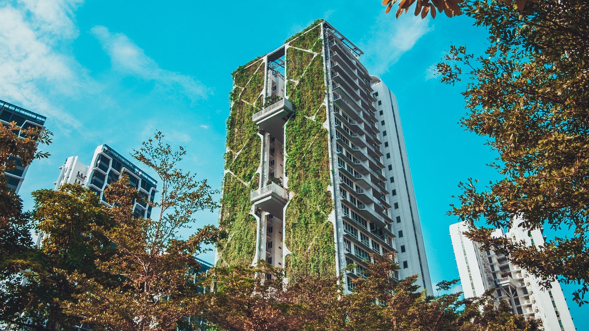 Building trees. Высотное городское здание Сингапур. Дом Алмаз в Сингапуре. Многоэтажный дом. Дерево в здании.