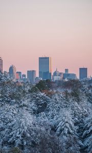 Preview wallpaper city, buildings, trees, snow, view