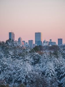 Preview wallpaper city, buildings, trees, snow, view