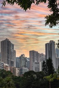 Preview wallpaper city, buildings, trees, sunset