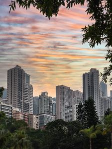 Preview wallpaper city, buildings, trees, sunset