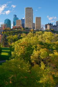 Preview wallpaper city, buildings, trees, autumn, aerial view