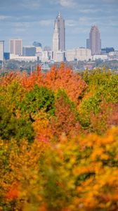 Preview wallpaper city, buildings, trees, autumn