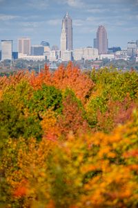 Preview wallpaper city, buildings, trees, autumn