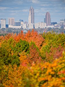 Preview wallpaper city, buildings, trees, autumn