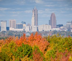 Preview wallpaper city, buildings, trees, autumn