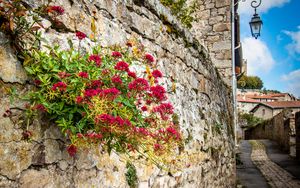 Preview wallpaper city, buildings, wall, street, lantern, flowers