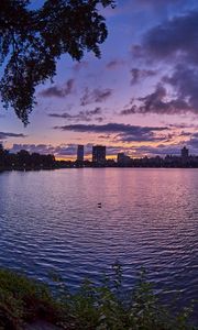 Preview wallpaper city, dusk, branches, water, waves