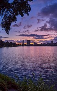 Preview wallpaper city, dusk, branches, water, waves