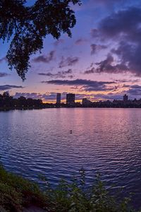 Preview wallpaper city, dusk, branches, water, waves