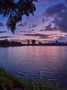 Preview wallpaper city, dusk, branches, water, waves