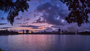 Preview wallpaper city, dusk, branches, water, waves