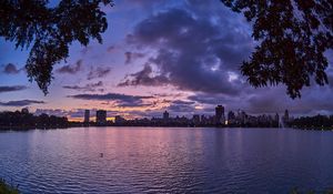 Preview wallpaper city, dusk, branches, water, waves