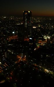 Preview wallpaper city, evening, lights, metropolis, shinjuku, tokyo, japan