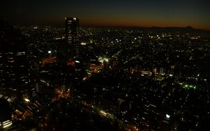 Preview wallpaper city, evening, lights, metropolis, shinjuku, tokyo, japan