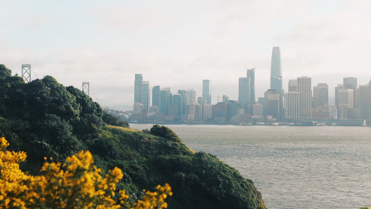 Wallpaper city, flowers, rocks
