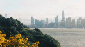 Preview wallpaper city, flowers, rocks