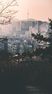 Preview wallpaper city, fog, buildings, branches, aerial view