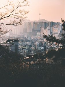 Preview wallpaper city, fog, buildings, branches, aerial view