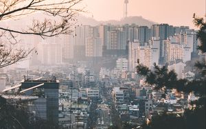 Preview wallpaper city, fog, buildings, branches, aerial view