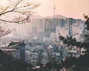 Preview wallpaper city, fog, buildings, branches, aerial view