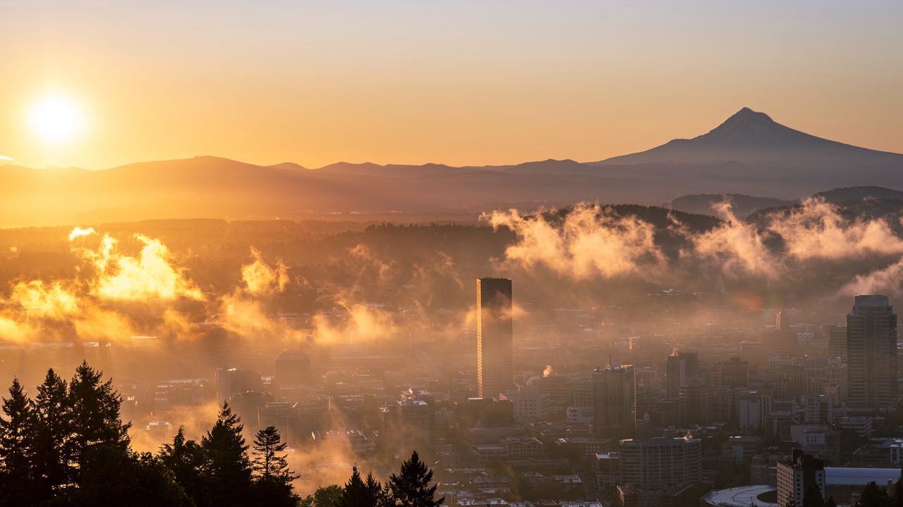Wallpaper city, fog, sunset
