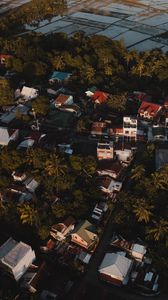 Preview wallpaper city, houses, palms, trees, aerial view