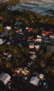 Preview wallpaper city, houses, palms, trees, aerial view