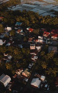 Preview wallpaper city, houses, palms, trees, aerial view