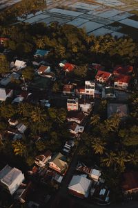 Preview wallpaper city, houses, palms, trees, aerial view