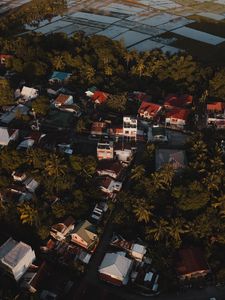 Preview wallpaper city, houses, palms, trees, aerial view