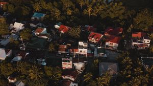 Preview wallpaper city, houses, palms, trees, aerial view