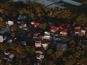 Preview wallpaper city, houses, palms, trees, aerial view