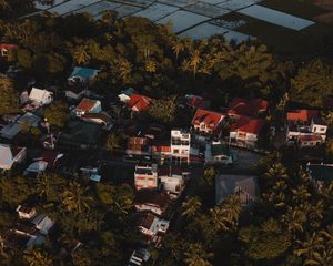 Preview wallpaper city, houses, palms, trees, aerial view