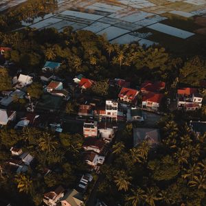 Preview wallpaper city, houses, palms, trees, aerial view