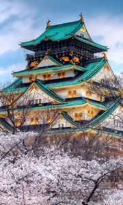 Preview wallpaper city, japan, temple, sky, spring, cherry, color