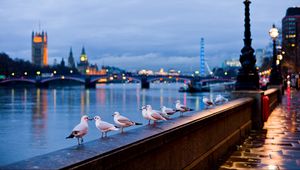 Preview wallpaper city, london, england, street, river, gulls, lamps, light, bokeh